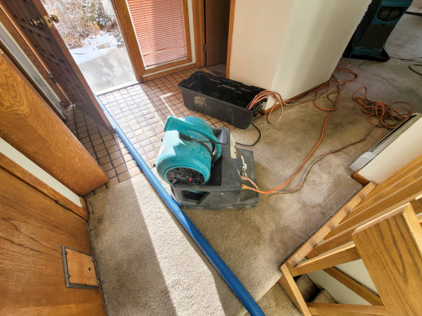 Best Flood restoration services  in Wilton, IA