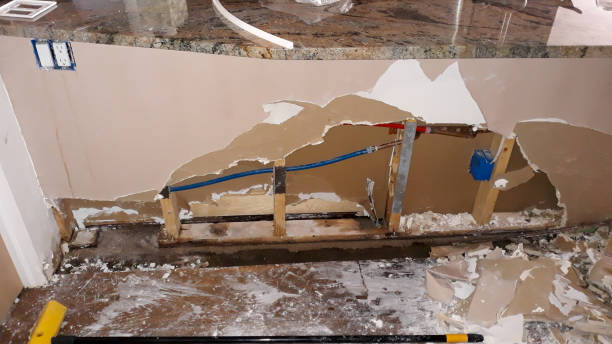 Best Basement water damage restoration  in Wilton, IA