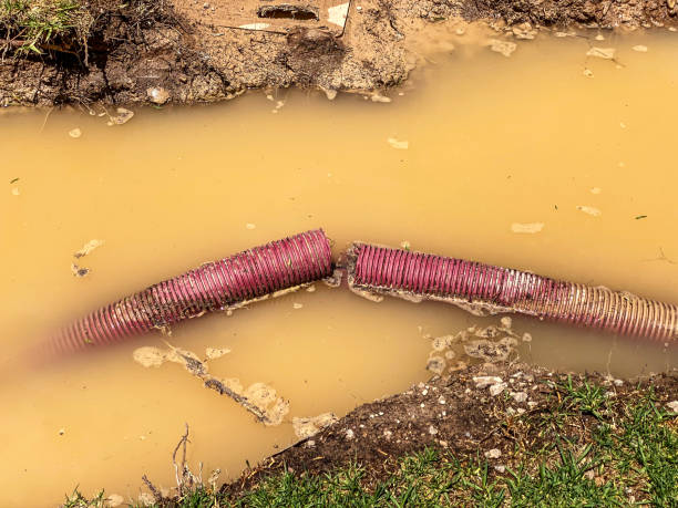 Best Water damage restoration near me  in Wilton, IA